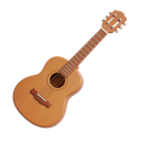 Acustica / Folk
